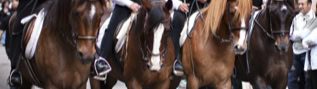 Sassari (Cavalcata sarda)